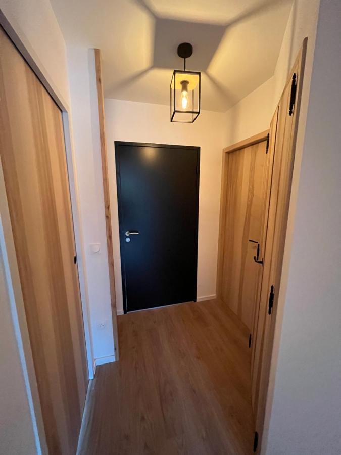 Appartement Aux Pieds Des Pistes De Ski Laveissiere Exterior photo