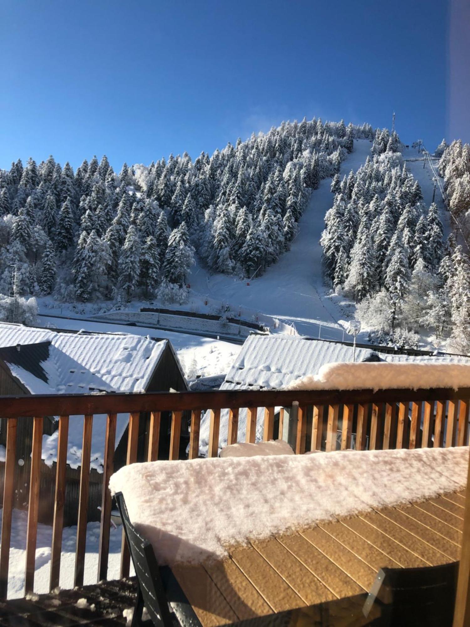 Appartement Aux Pieds Des Pistes De Ski Laveissiere Exterior photo